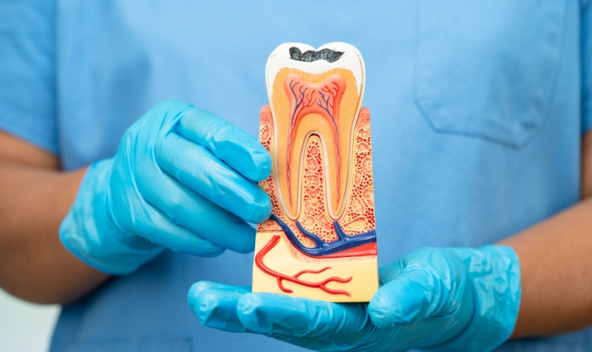 Signs You May Need An Emergency Root Canal